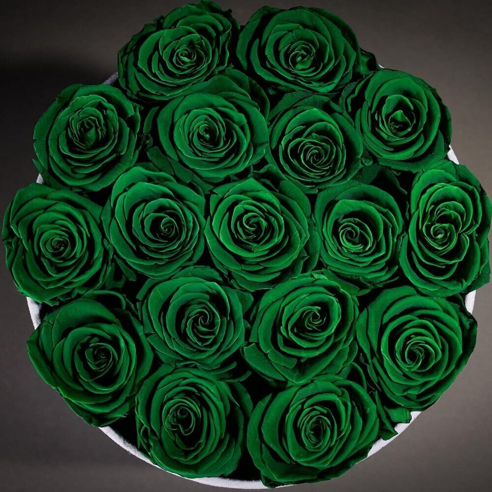 17 Flowers in a Luxury Suede Box Birthday Gifts Preserved Flowers Dark Green - Picture 5 of 6